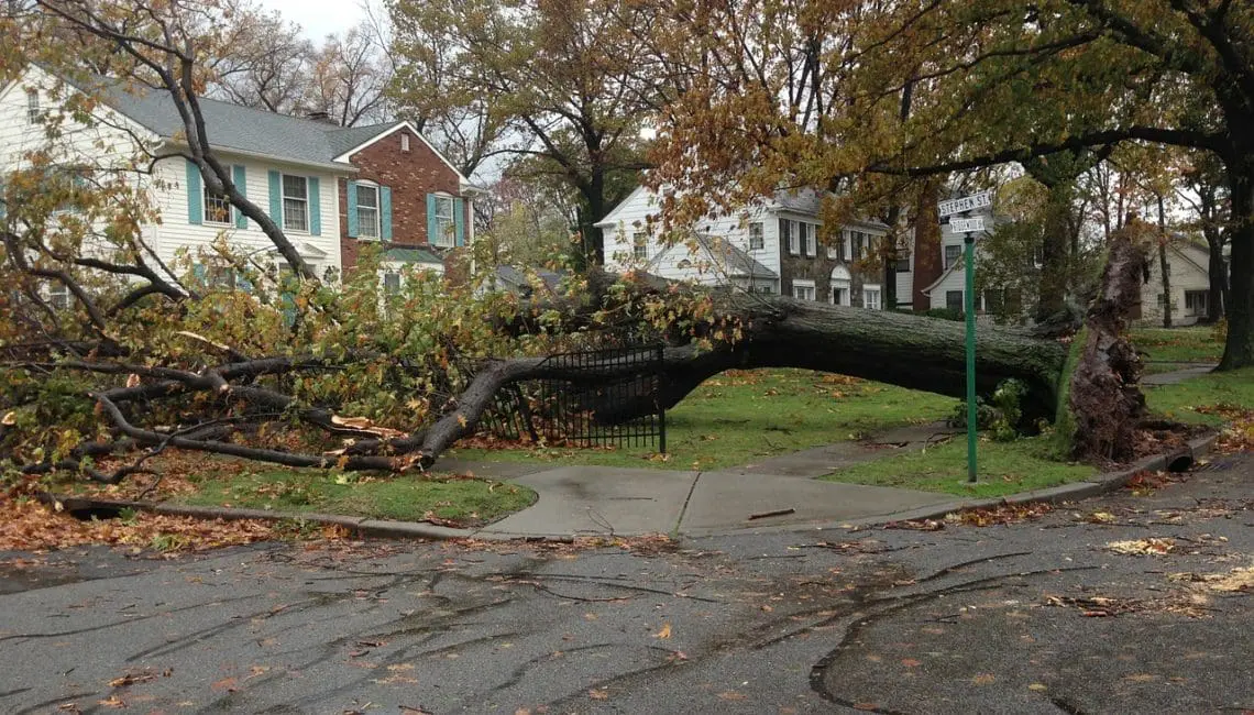 Insurance Public Adjuster Florida | Property Damage Claims |