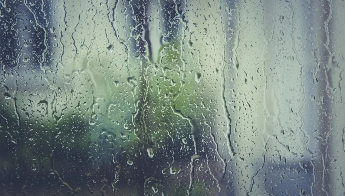 Water Damage Florida | Water Damage Claims | Flood Damage