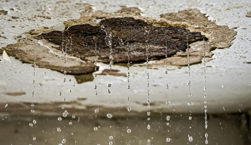Water droplets fall from a damaged ceiling as paint peels