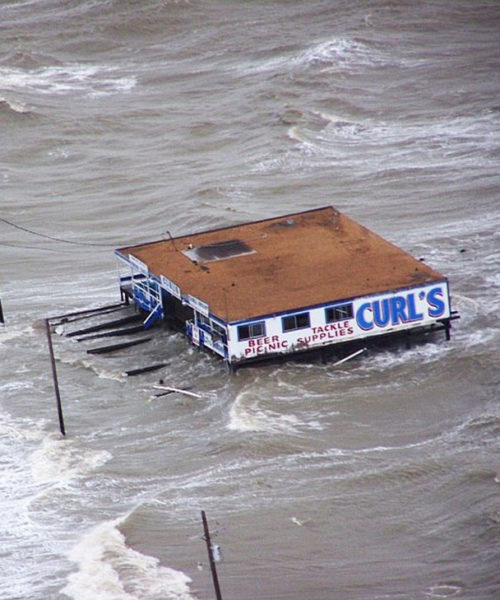 Public Adjuster for water damage in St.