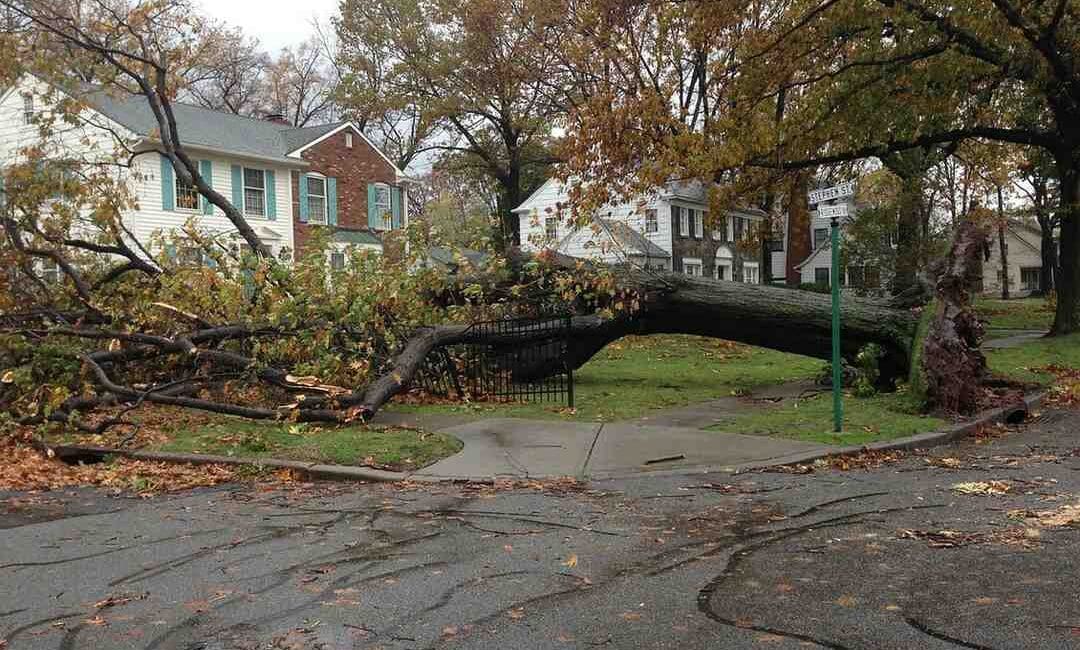 Insurance Public Adjuster Florida | Property Damage Claims |