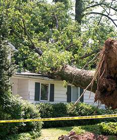 FLOOD Damage