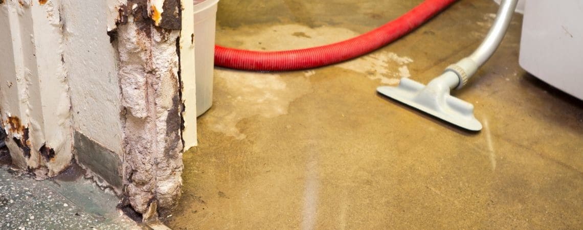 water damaged basement