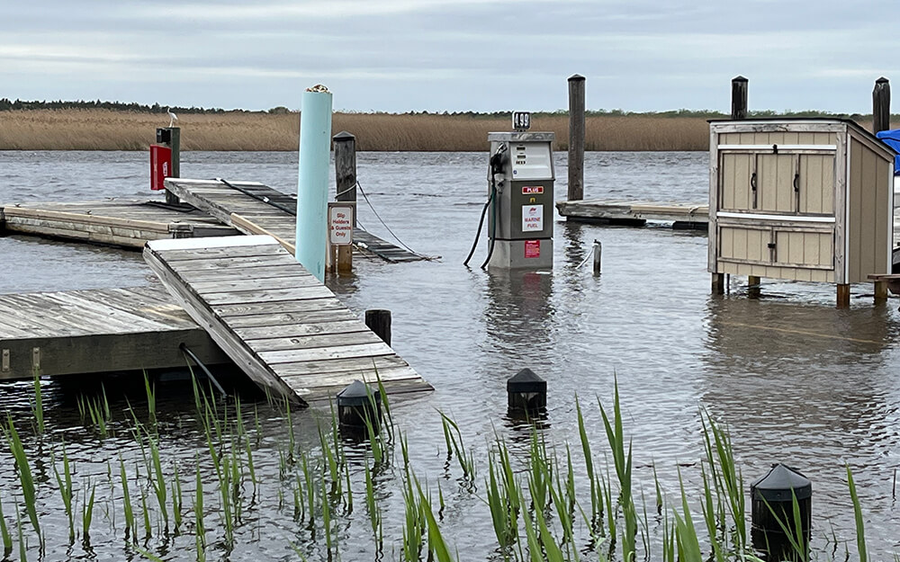 Flood Damage Claim Insurance Adjuster Florida