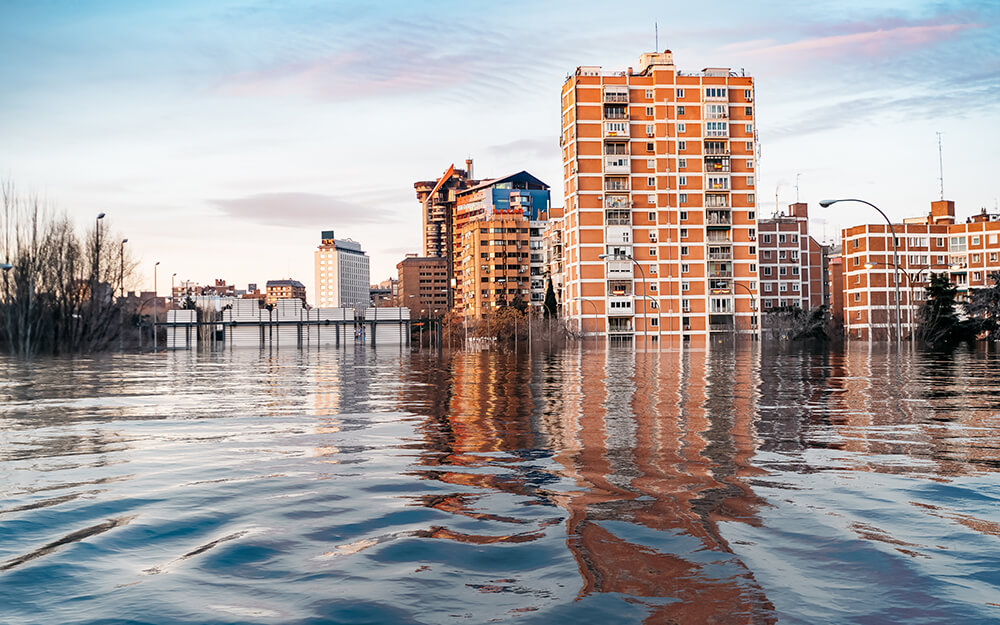 Flood Damage Claim Insurance Adjuster Florida