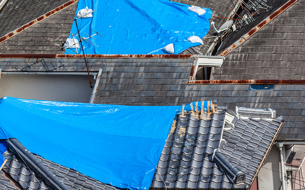 Hurricase Damage Insurance Claim Adjuster Florida Hurricase Damage Insurance Claims Adjuster Florida