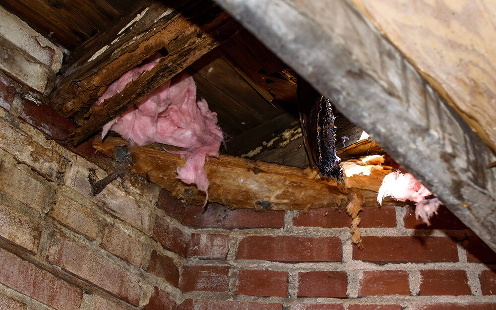 Roof Leaks Insurance Claim Adjuster Florida