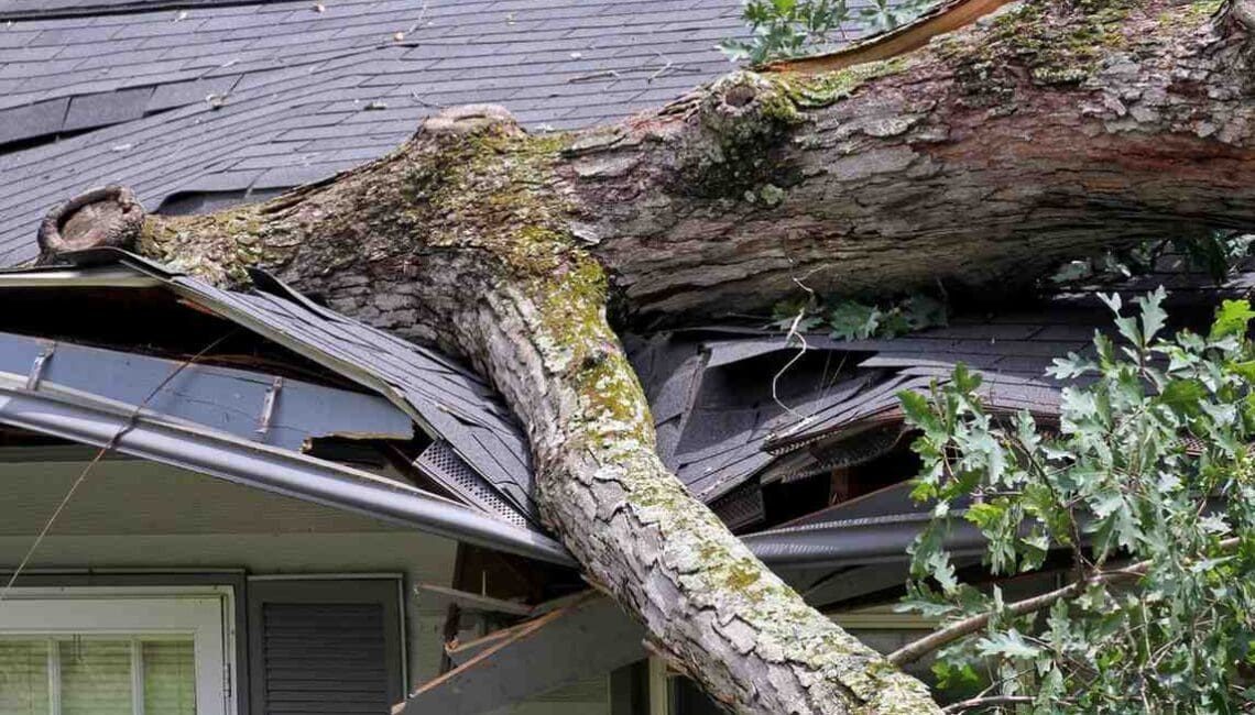 Heavy Oak Tree Demolishes a House Roof