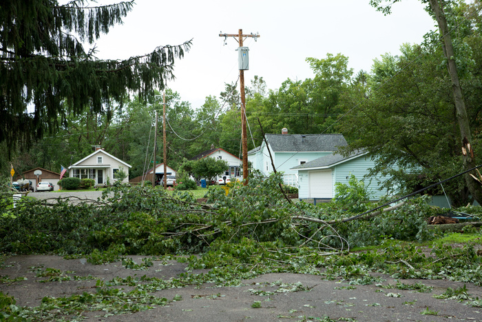 storm damage aftermath. Damaged tree by hurricane wind after storm.