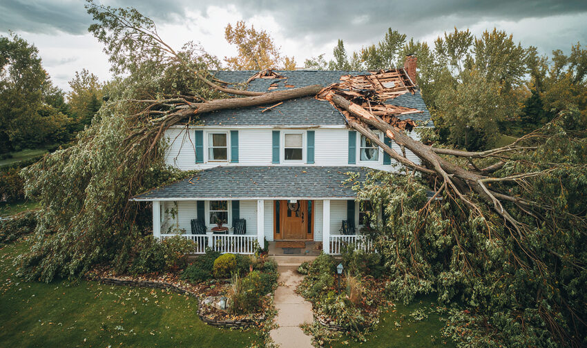 Fallen tree in front of a house after a storm