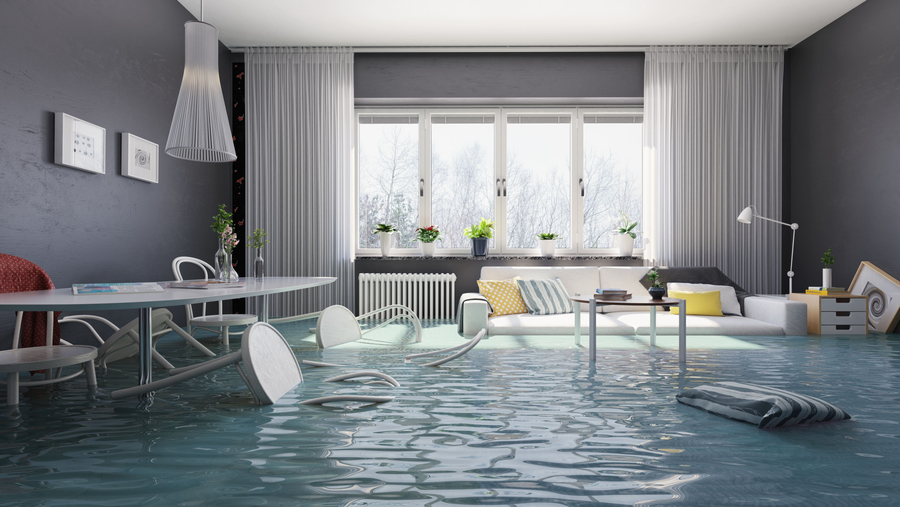 Flooding living interior